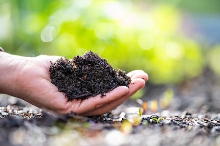 What Your Lawn Soil Test Results Mean for Weed Control and Fertilization